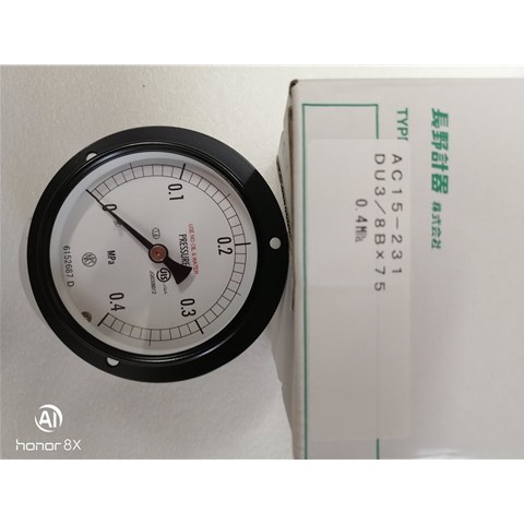 NAGANO长野计器NKS压力表AC15-231-3A00100XXXJ0 (0~0.4MPA)