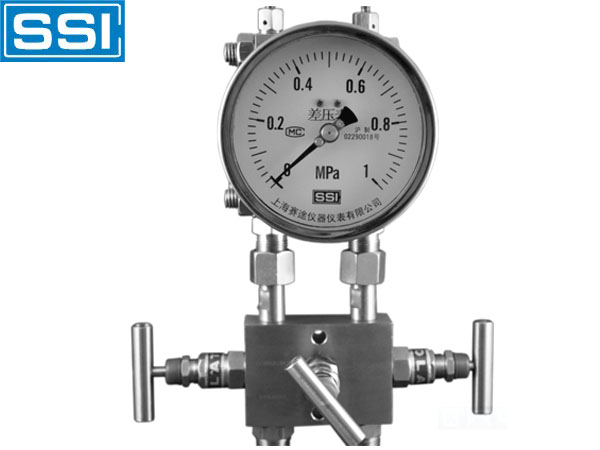 赛图SSI YCA双膜片式高静压差压表