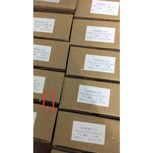 布莱迪BLD全钢耐震压力表YTHN-100.AO.531.M180.M20  0-4MPA