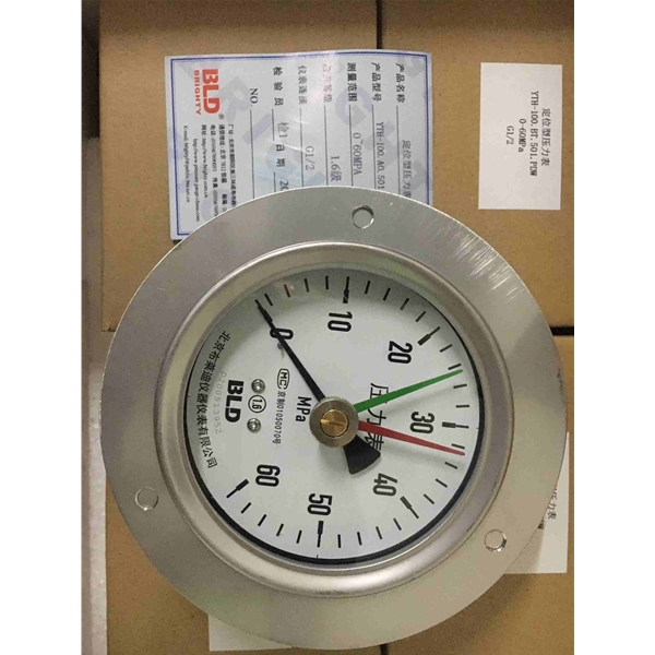布莱迪定位压力表YTH-100.BT501.PDW布莱迪定位压力表YTH-100.BT501.PDW