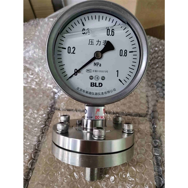 北京布莱迪BLD法兰不锈钢耐震隔膜表PTH-100.AO.F2化工水处理