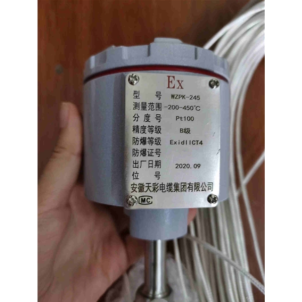 安徽天彩热电阻WZPK-245  -200-450℃