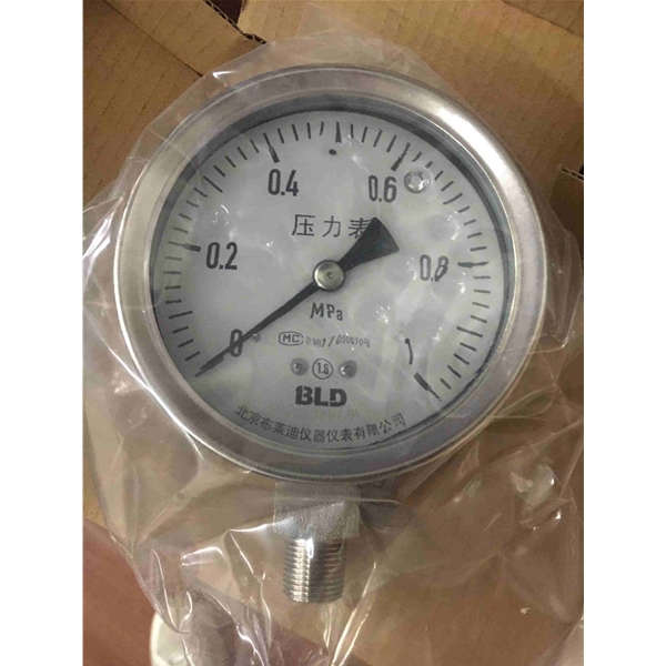 布莱迪BLD不锈钢耐震压力表YTHN-100.A0  0-1MPA1