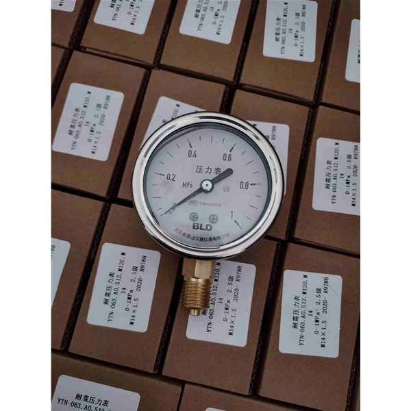 BLD布莱迪BRIGHTY半钢压力表YTN-63.AO.512.M120.M14   0-1MPA