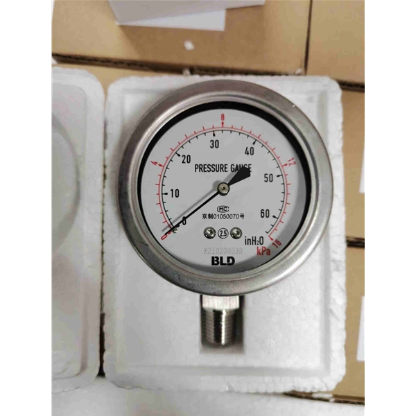 BLD布莱迪不锈钢膜盒压力表YEF-65    0-16KPA    0-20KPA    0-60KPA