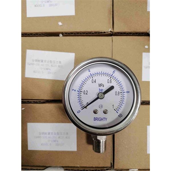 BLD布莱迪不锈钢压力表YTH-63.AO   0-1MPA     BLD布莱迪不锈钢压力表YTH-63.AO   0-1MPA