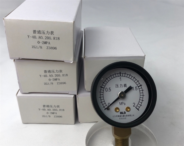 BLD/北京布莱迪压力表Y-40.AO.205.R18  0-2MPA
