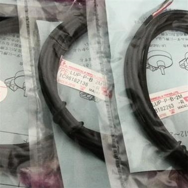 TECHNICA漏液传感器LUP-P-B-5M LUP-P-A-2M LUP-P-B-2M P