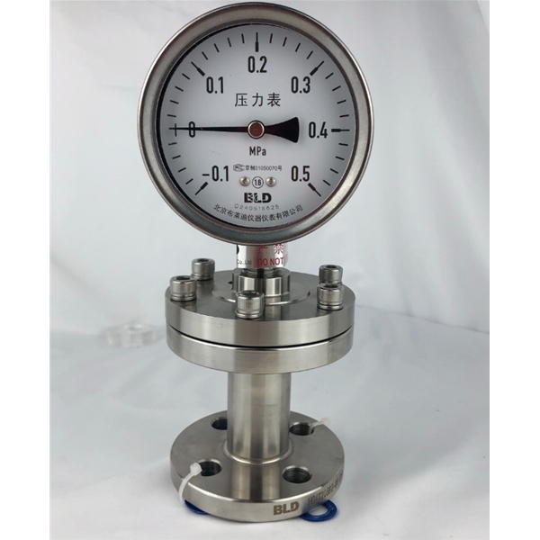 PTH-100.AO北京布莱迪BLD法兰不锈钢耐震隔膜表PTH-100.AO.F2化工水处理