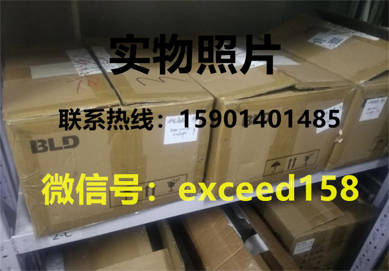 BLD压力表1