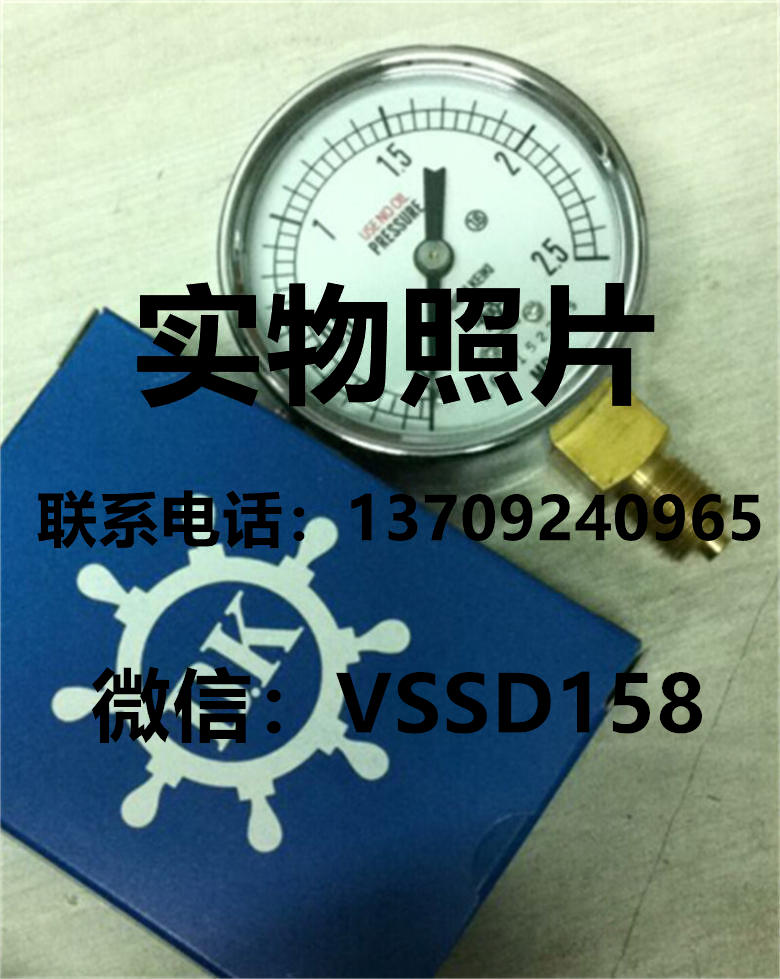 DAIICHIKEIKI第一计器压力表1