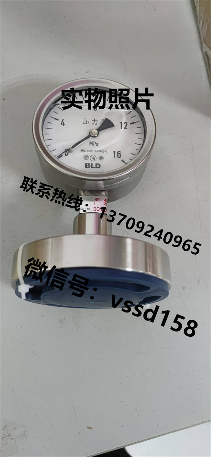 北京布莱迪BLD&brighty 隔膜压力表YTNP-100.A0   PYTH-100 (4)