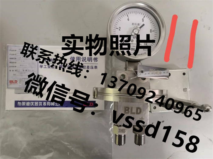 北京布莱迪BLD&brighty 膜片金属测量腔耐震差压表YCBF-100.A0  YCBFN-150.A0