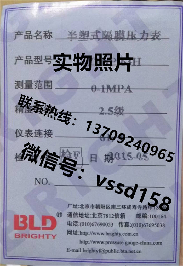 北京布莱迪BLD&brighty 压力表半塑式隔膜压力表YTNP-63H  0-1MPA (6)
