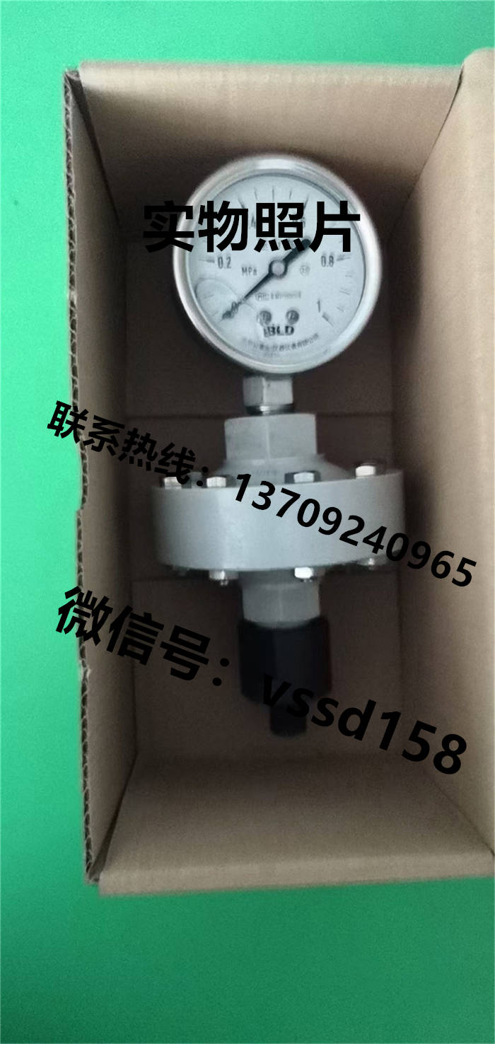 北京布莱迪BLD&brighty 压力表半塑式隔膜压力表YTNP-63H  0-1MPA (5)