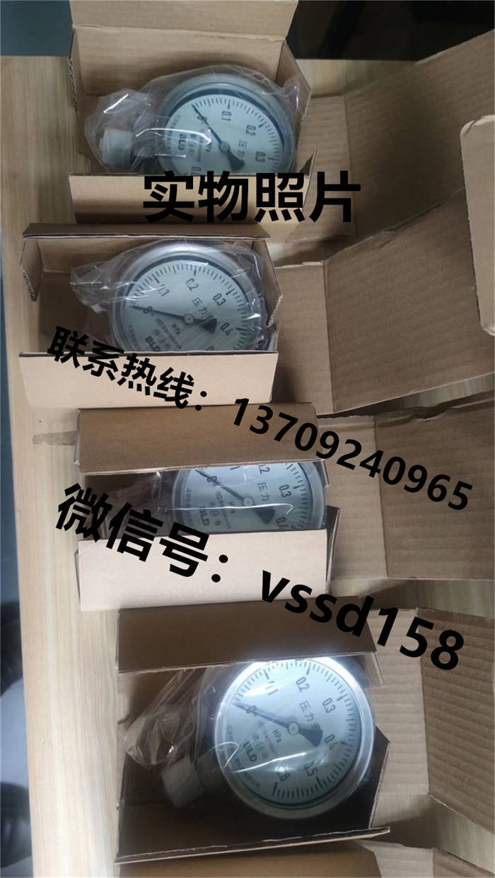 北京布莱迪BLD&brighty 压力表YTH-100.A0  YTHN-100.A0  YTN-100.A0  YTHN-63 (5)