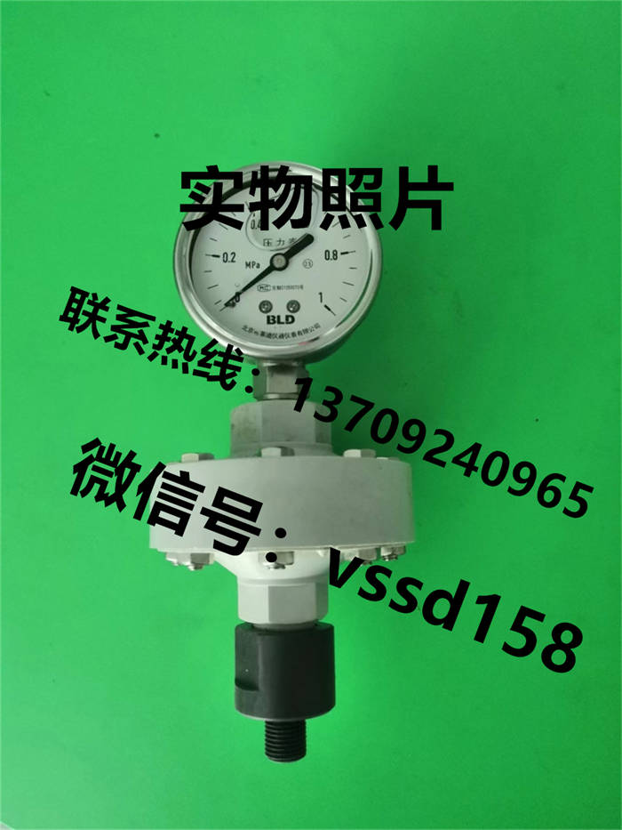 北京布莱迪BLD&brighty 压力表半塑式隔膜压力表YTNP-63H  0-1MPA (1)