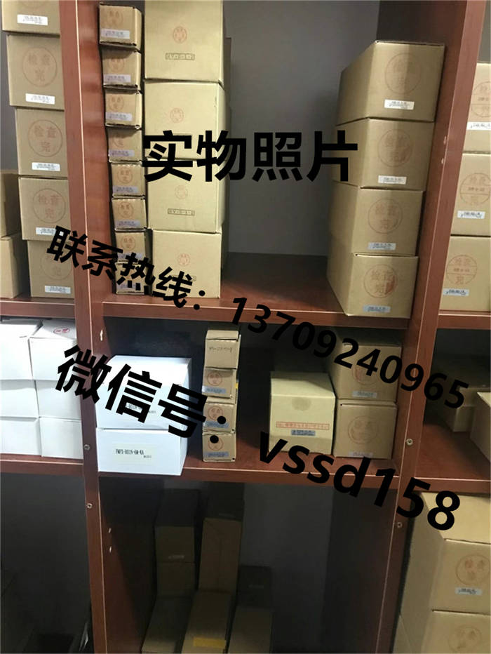 藤仓 FUJIKURA 低摩擦气缸精密调压阀精密电空变换器真空调压阀scs-63-78-s0-b0 (2)