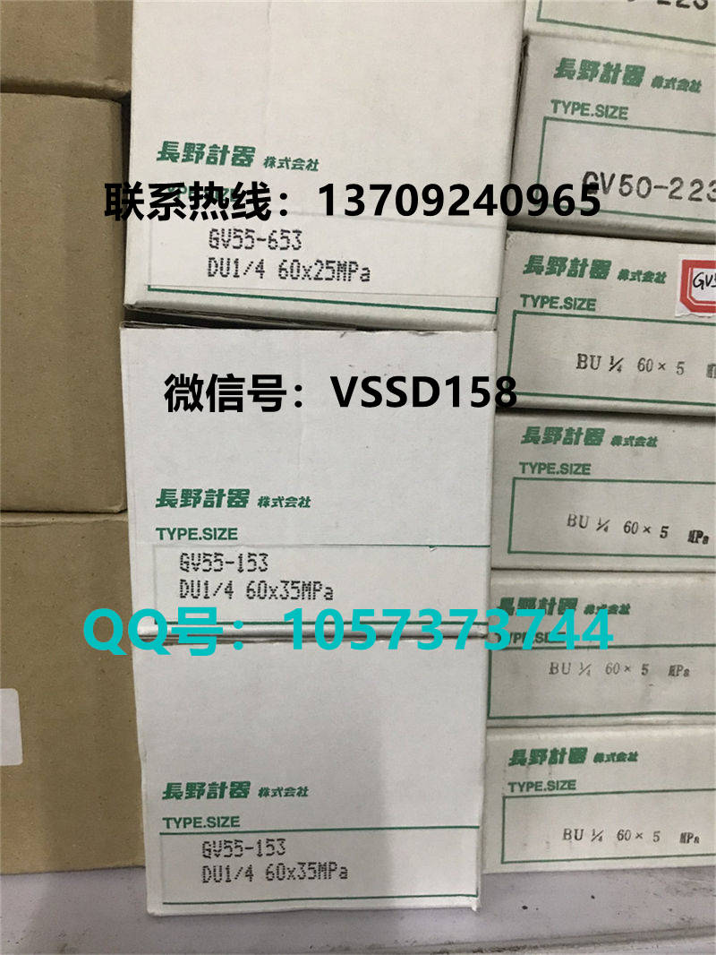 长野NKS.NAGANO KEIKI 压力表GV55-653  0-25MPA (1)