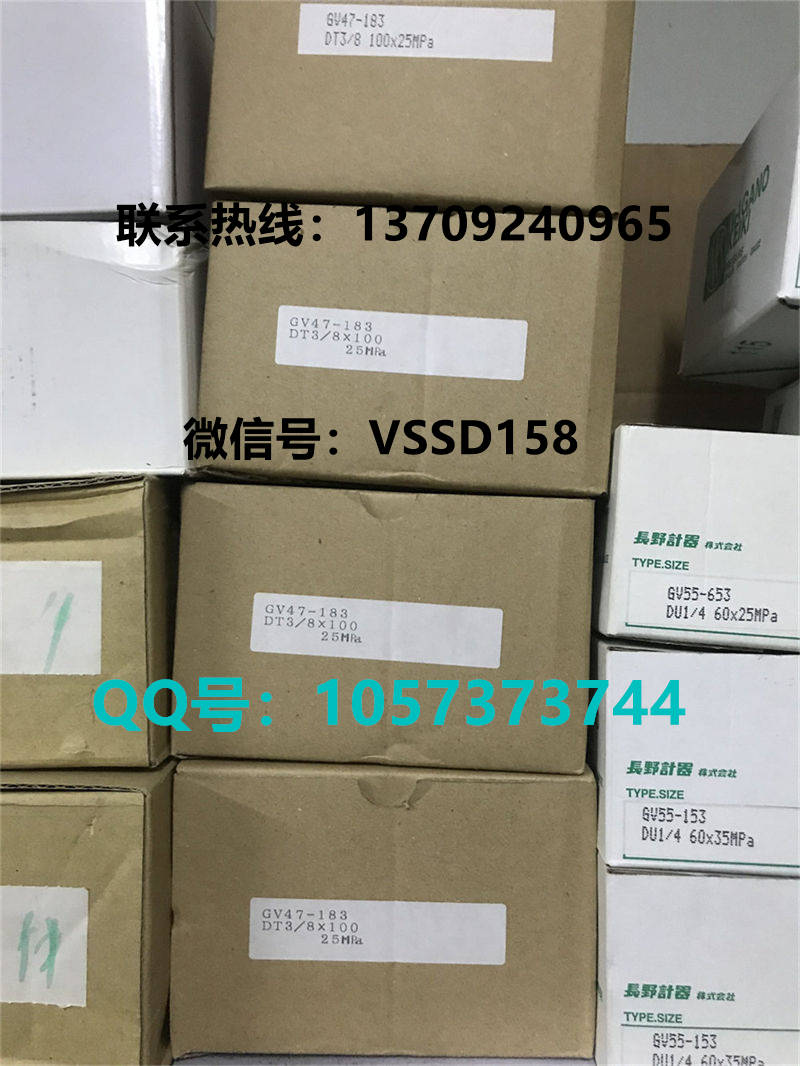 长野NKS.NAGANO KEIKI 压力表GV47-183   0-25MPA (3)