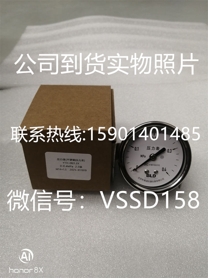 北京布莱迪BLD&brighty 压力表YTH-063.ZK  0-04MPA   M141 (1)