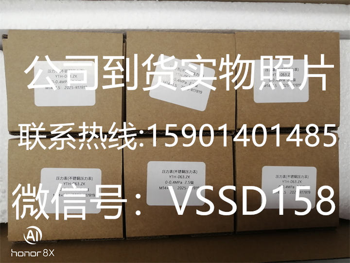 北京布莱迪BLD&brighty 压力表YTH-063.ZK  0-04MPA   M141 (5)