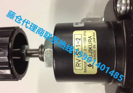 藤仓FUJIKURA精密减压阀（特气调压阀）RSB-8-2 (2)