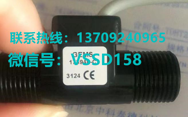 GEMS 流量计173940-C