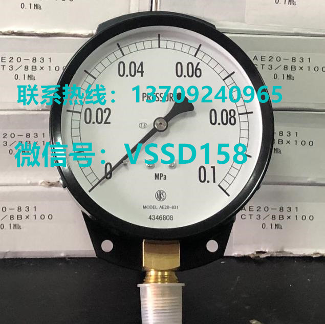 NKS长野计器压力表AE20-831-3000000XXXJ01