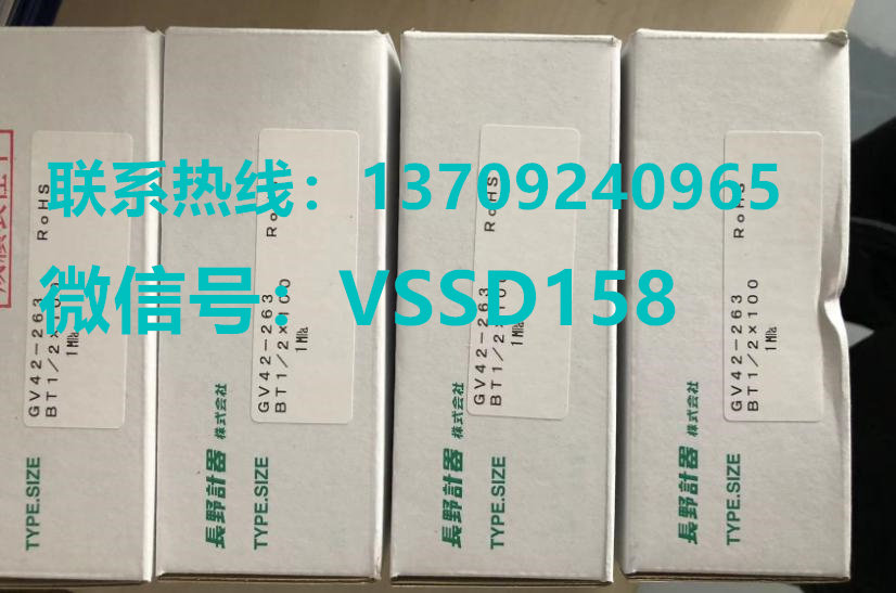 长野NKS压力表GV42-263  0-1MPA3