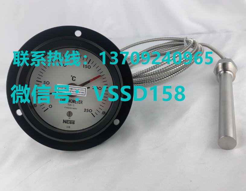 NESS温度计4TBPA-M1BB-S 100   0-250℃3