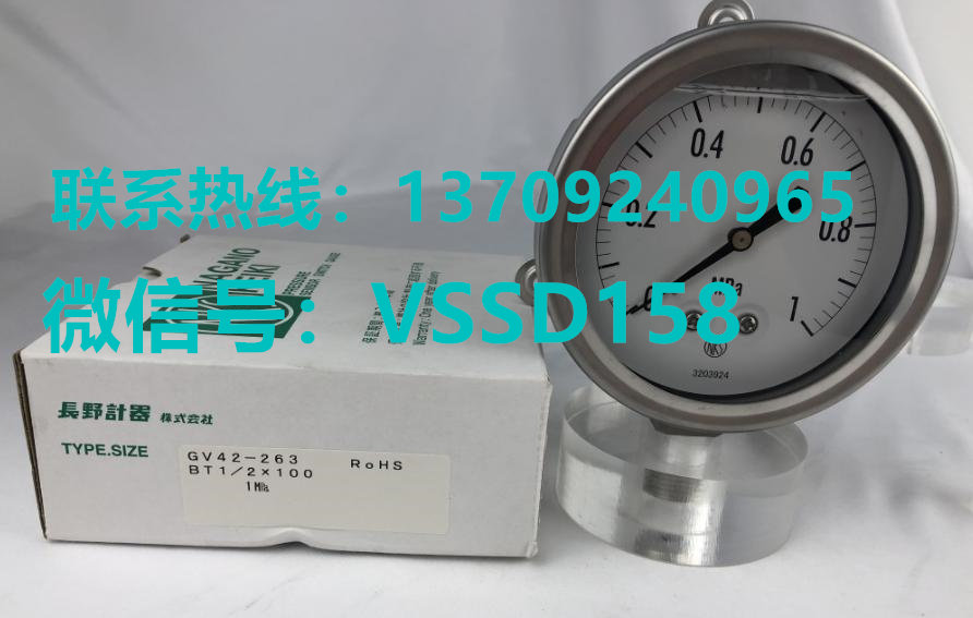 长野NKS压力表GV42-263  0-1MPA2