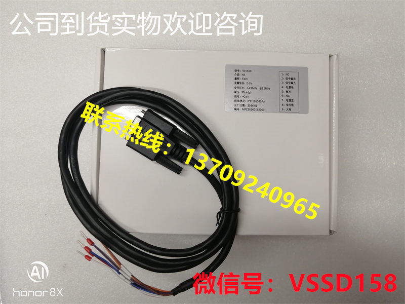 VSSD伟世德气体质量流量计 VF1100 (1)