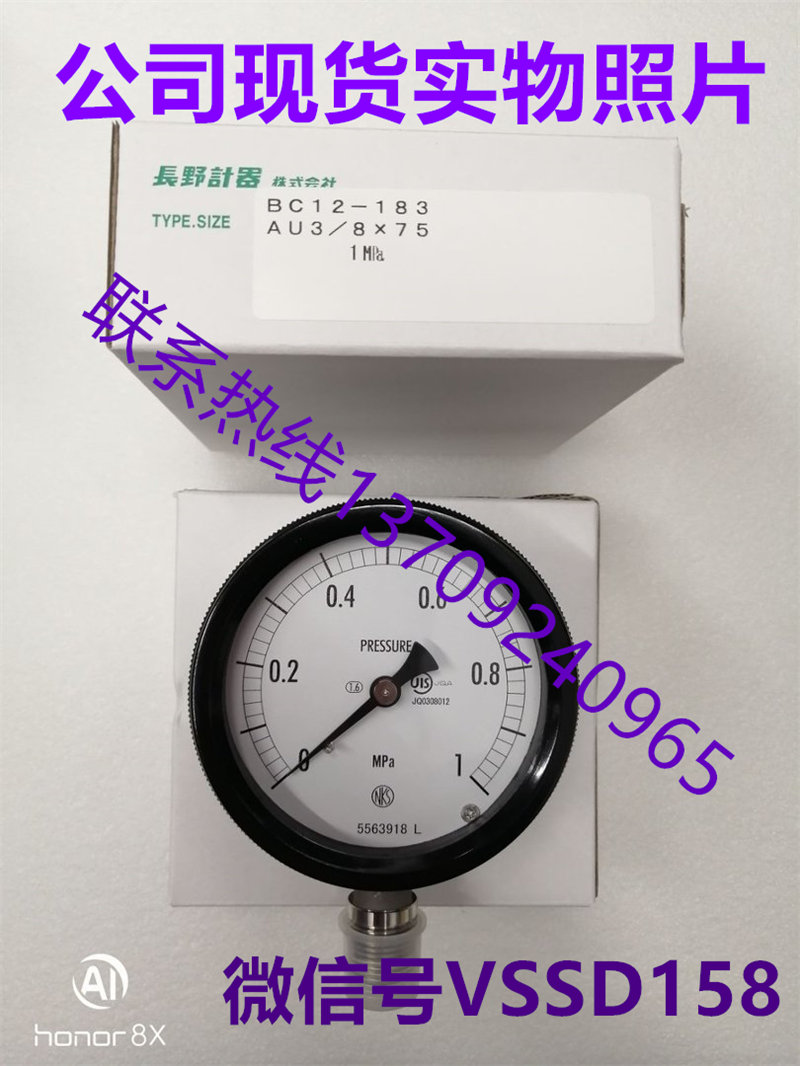 NKS长野计器压力表  BC12-183-3000000XXXJ0 (0~1MPA)