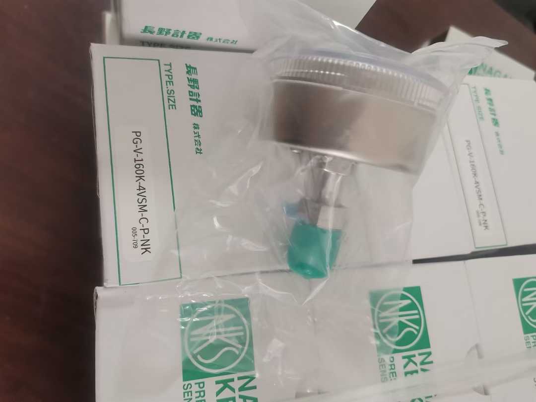 长野NKS 压力表PG-V-160K-4VSM-C-P-NK VCR 接口 (2)