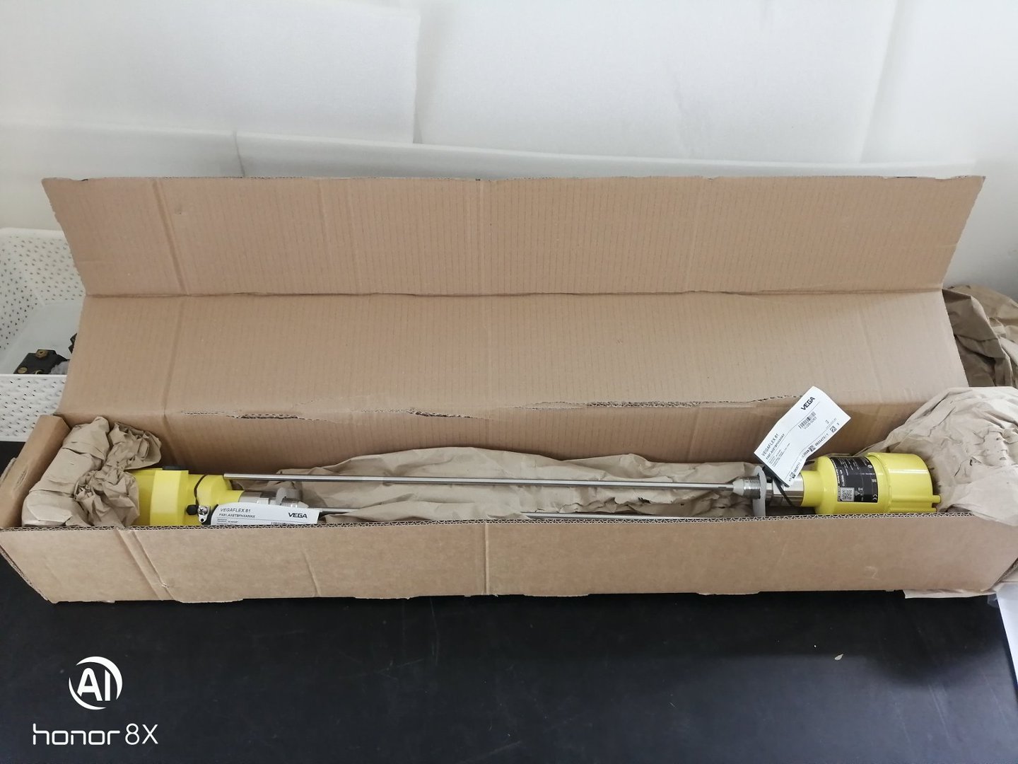 vega导波雷达液位计FX81AXETBFHXAMAX导波雷达液位计FX81品牌VEGA (3)