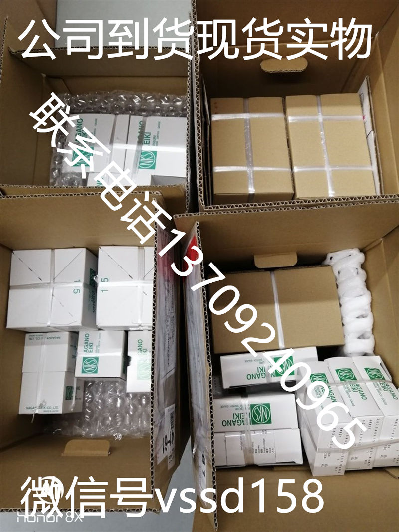 GC31-174-L7N3800XXXX0 日本长野计器(NAGANO KEIKI)压力