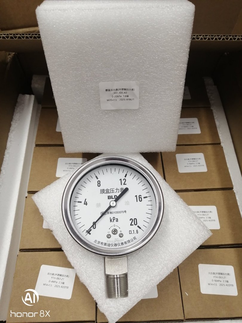 布莱迪BLD不锈钢微压表YEF-100.A0.502.0-20kPa.M20