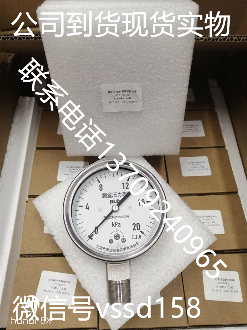 布莱迪BLD不锈钢微压表YEF-100.A0.502.0-20kPa.M20