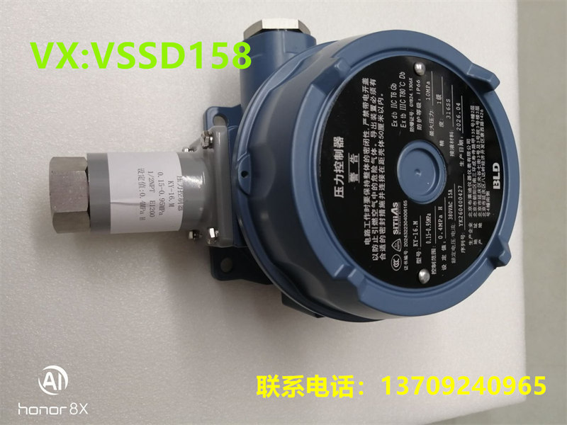 北京布莱迪BLD&brighty防爆压力开关  KY16- (2)