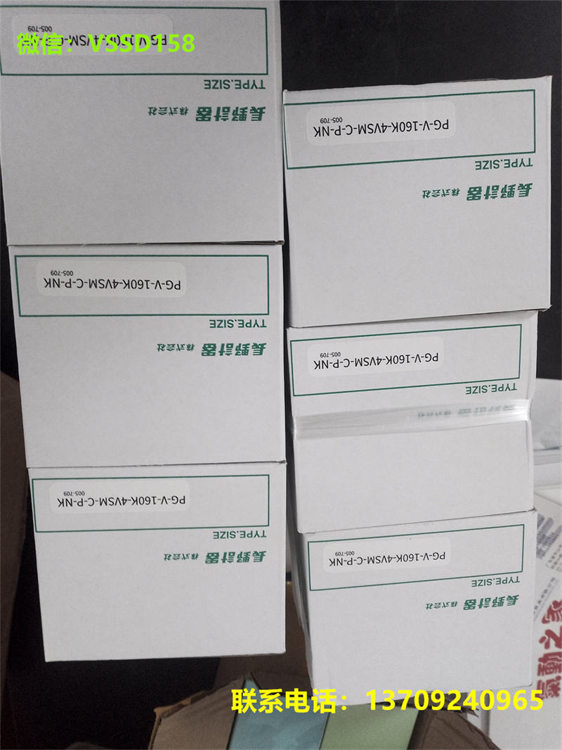 NKS长野PG-V-160K-4VSM-C-P 半导体设备专用表PG-V-60K-4VSM-C-P-NK