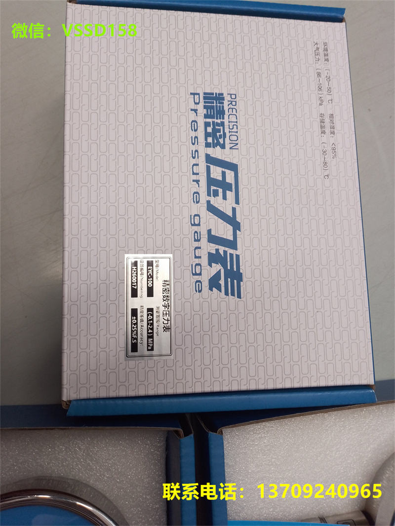 EXCEED意赛德精密数显表EYC-100 (0.25% -0.1-2.4MPA) 12NPTM (4)