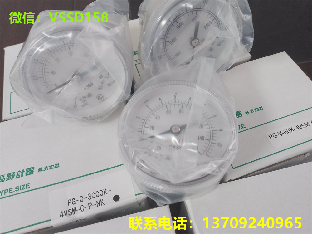 NKS长野PG-0-3000K-4VSM-C-P半导体设备专用表PG-V-60K-4VSM-C-P-NK (1)