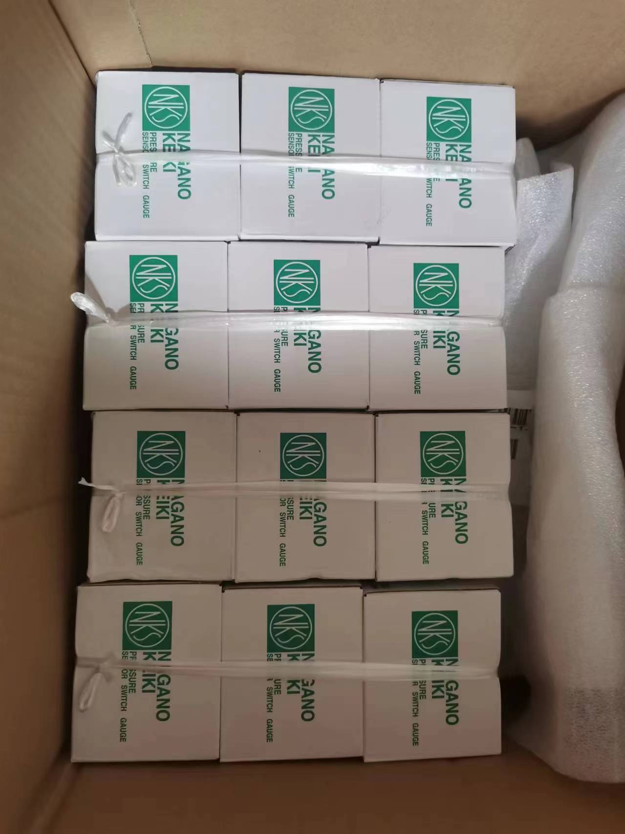 PG-V-160K-4VSF-S-P-NK长野NKS 压力表PG-V-160K-4VSM-C-P-NK VCR 接口 (7)