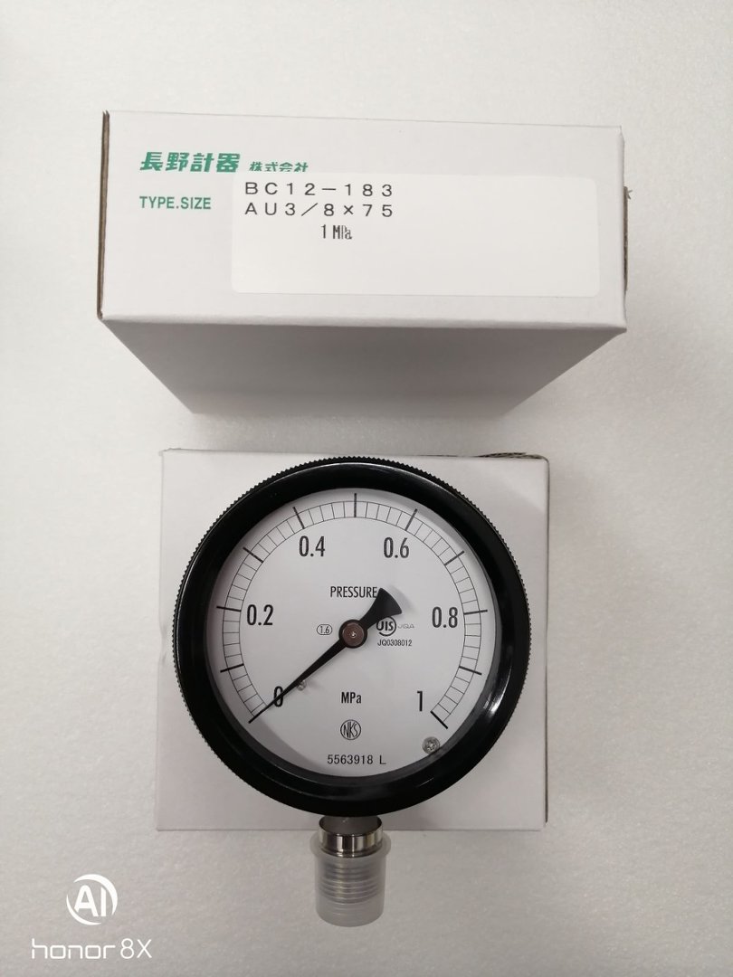 NKS长野计器压力表  BC12-183-3000000XXXJ0 (0~1MPA)