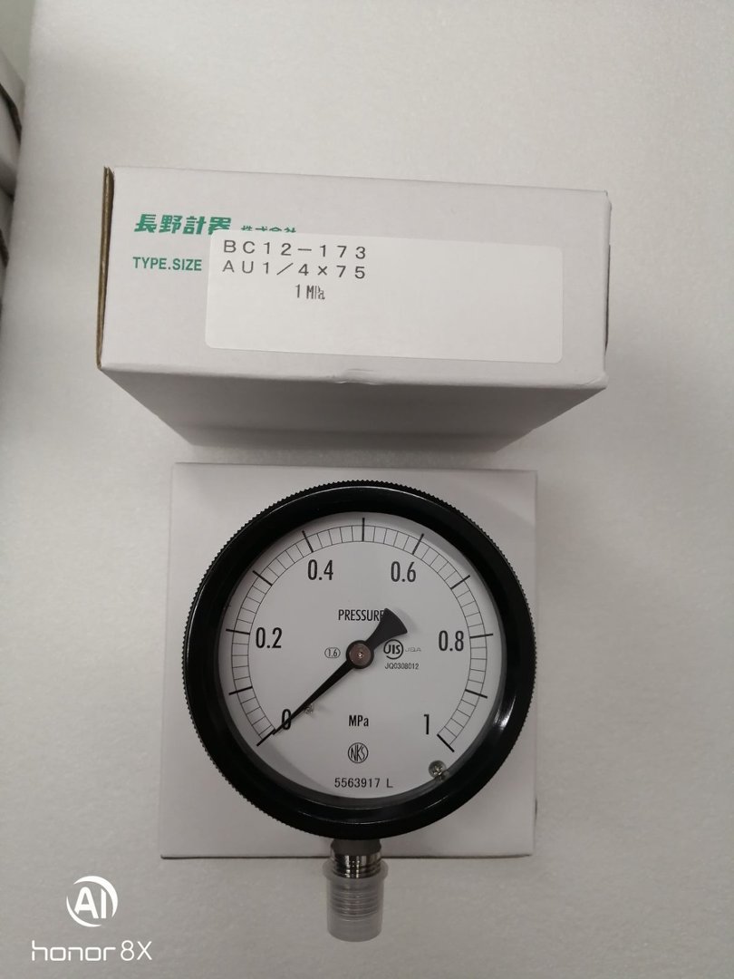 NKS长野计器压力表  BC12-173-3000000XXXJ0 (0~1MPA)