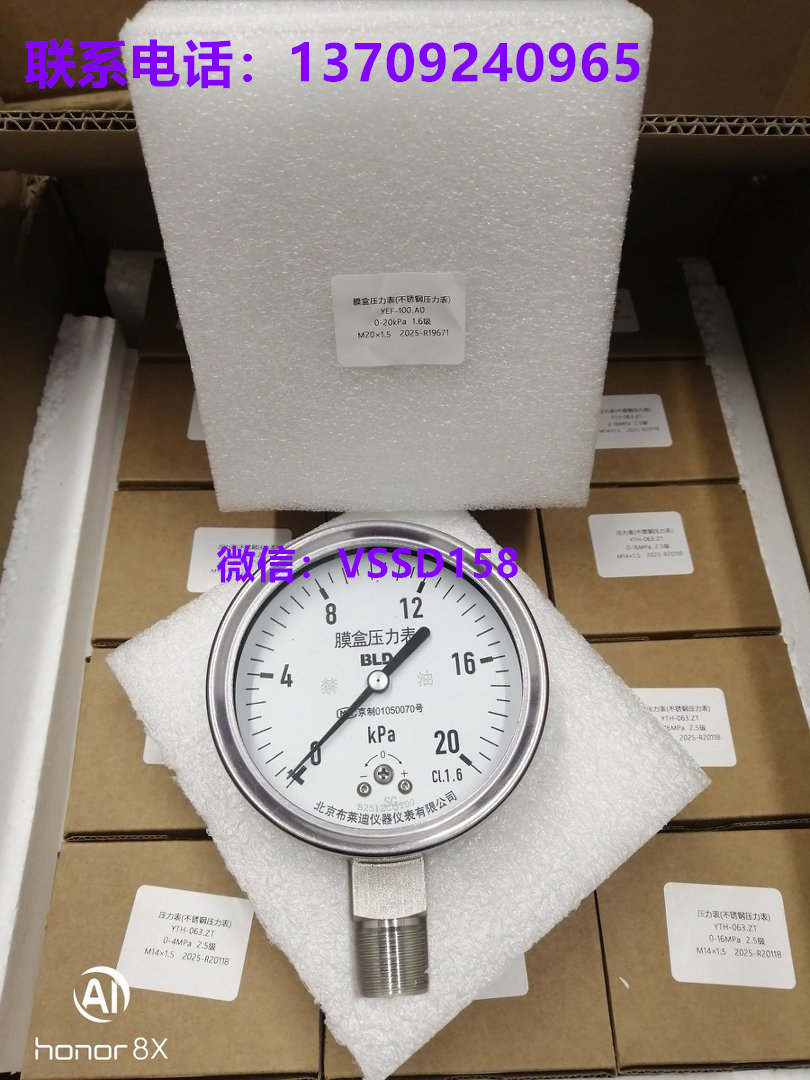 BLD 北京布莱迪 YEF‑100.AO 不锈钢膜盒压力表 0‑20kPa 1.6 级 M20×1.5 径向禁油压力表