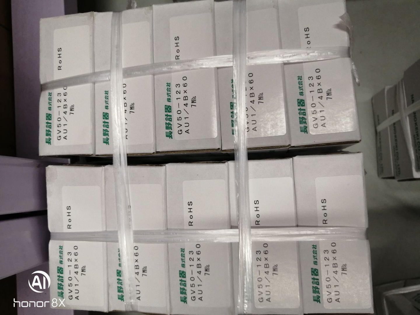NAGANO KEIKI 长野计器 GV50-123 工业压力表 7MPa 14B 螺纹 60mm 表盘 RoHS 认证