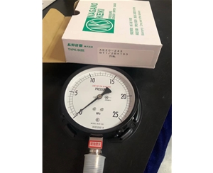 长野计器NKS压力表AE20-243-5000300XXXJ0(0-25MPA)