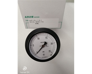 长野 NKS 压力开关 压力表 传感器AC15-233,AC20-133压力表AC15-1315000000XXXJ0 0-25MPa